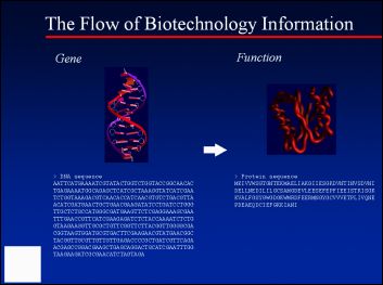 The Flow of Biotechnology Information